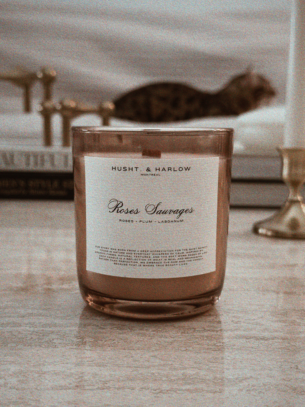 ROSES SAUVAGES