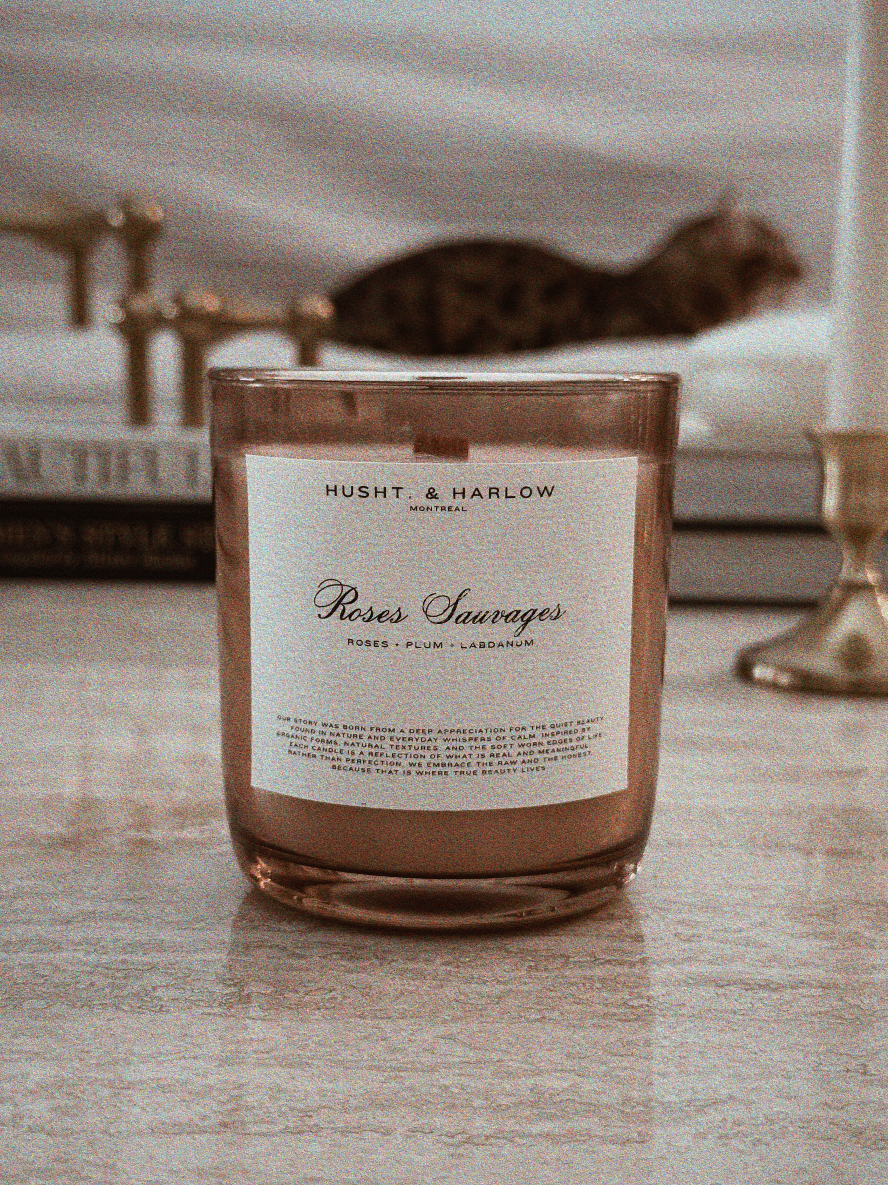 ROSES SAUVAGES